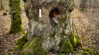 Atrium Sacrum Lebensr&auml;ume im Wandel