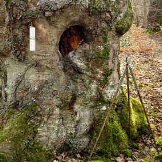 Atrium Sacrum Lebensr&auml;ume im Wandel