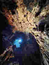 Atrium Sacrum 07