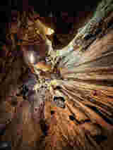Atrium Sacrum 10