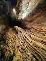 Atrium Sacrum 12
