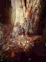 Atrium Sacrum 16