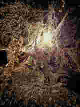 Atrium Sacrum 17