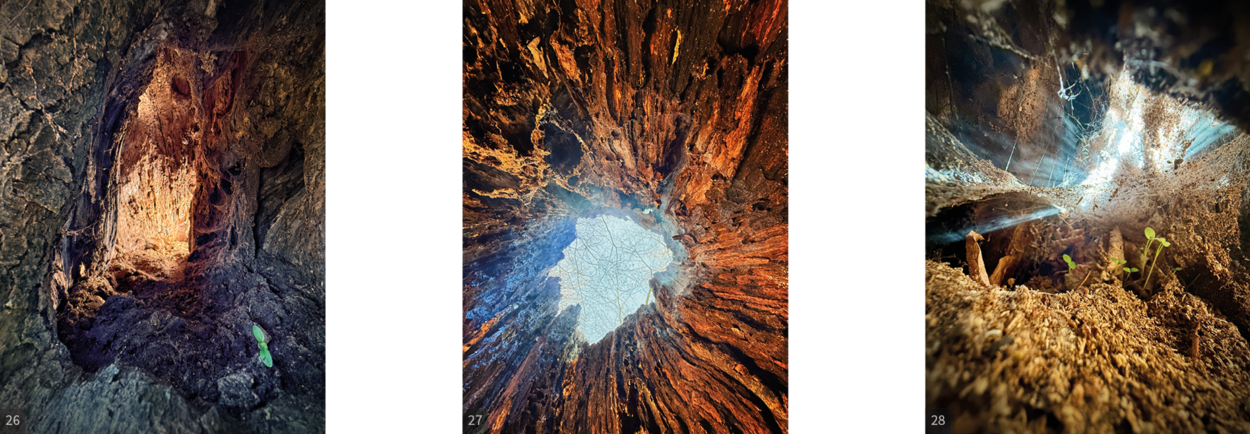 Atrium Sacrum___11.png