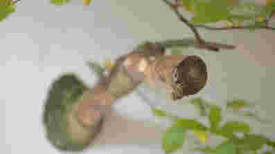 Vorschaubild Tom-Kretschmer-lieber-analog-Bucheninstallation-_DSC4703.jpeg