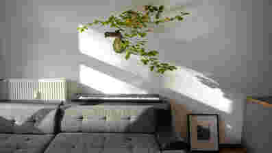 Vorschaubild Tom-Kretschmer-lieber-analog-Bucheninstallation-_DSC4811_.jpeg