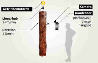 Konstruktion sonus vitae 02 mobil