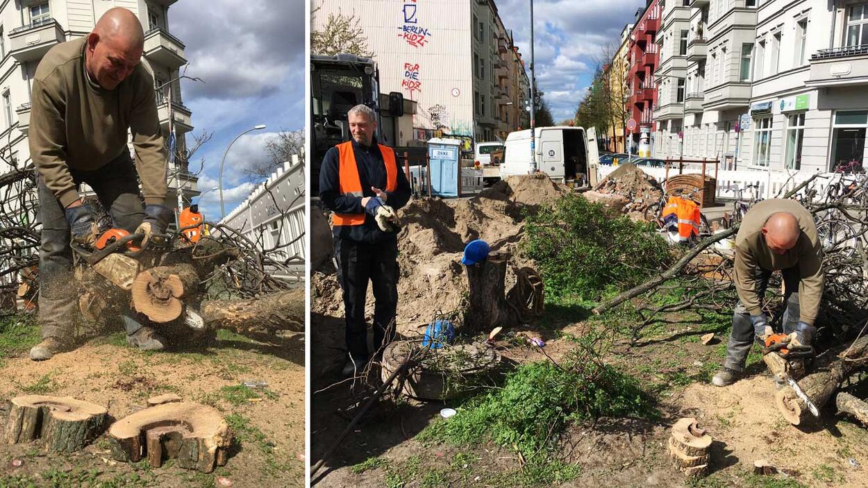 Vorschaubild lieberanalog Lebenslinien 