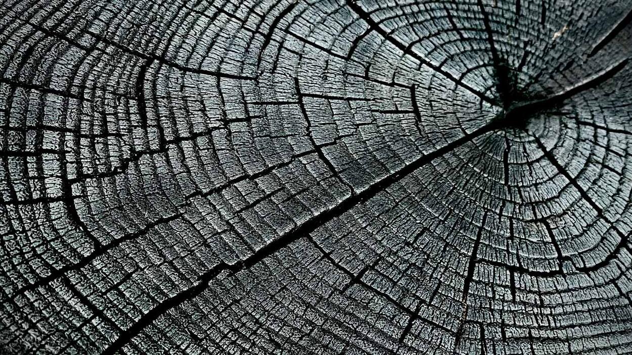 Vorschaubild lieberanalog Lebenslinien burn2