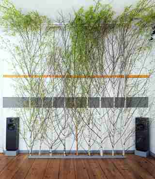 birken installation lieber analog tom kretschmer dsc9333 duplicate