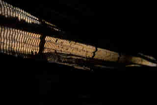 lost berlin 2017 copyright by carstenbeier fagus obscura 05