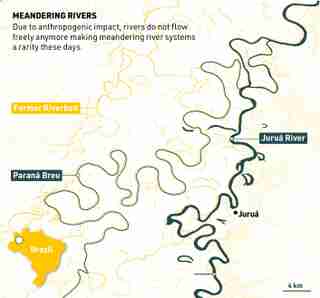 lieberanalog Meander 4